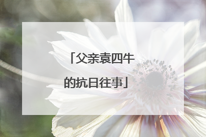 父亲袁四牛的抗日往事