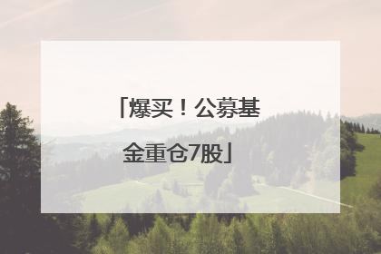 爆买！公募基金重仓7股