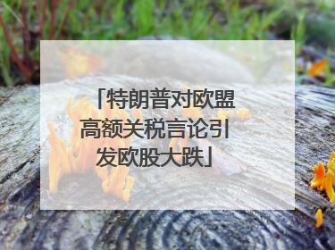 特朗普对欧盟高额关税言论引发欧股大跌