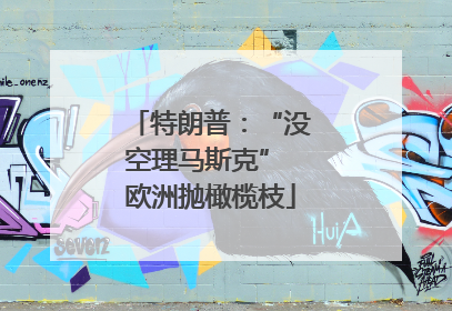 特朗普：“没空理马斯克” 欧洲抛橄榄枝