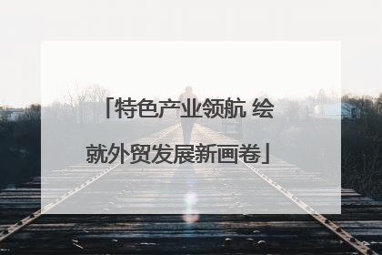 特色产业领航 绘就外贸发展新画卷