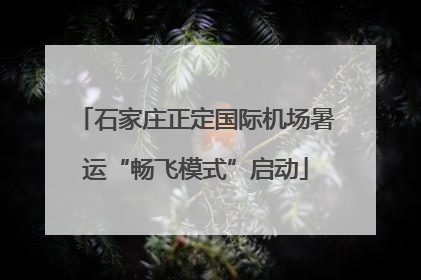石家庄正定国际机场暑运“畅飞模式”启动