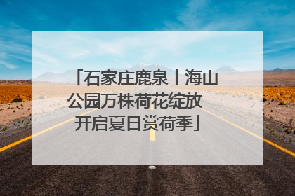 石家庄鹿泉丨海山公园万株荷花绽放 开启夏日赏荷季