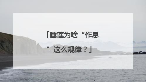 睡莲为啥“作息”这么规律？