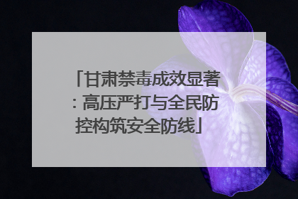 甘肃禁毒成效显著：高压严打与全民防控构筑安全防线
