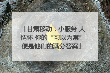 甘肃移动：小服务 大情怀 你的“习以为常”便是他们的满分答案
