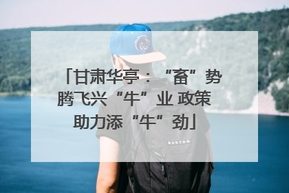 甘肃华亭：“畜”势腾飞兴“牛”业 政策助力添“牛”劲