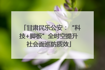 甘肃民乐公安：“科技+脚板”全时空提升社会面巡防质效