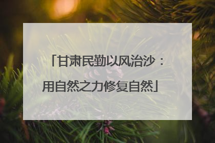 甘肃民勤以风治沙：用自然之力修复自然