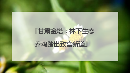 甘肃金塔：林下生态养鸡踏出致富新道
