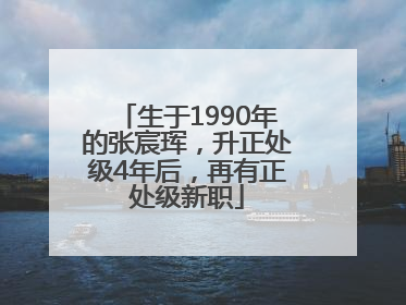 生于1990年的张宸珲，升正处级4年后，再有正处级新职