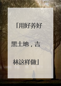 用好养好黑土地，吉林这样做