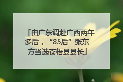 由广东调赴广西两年多后，“85后”张东方当选苍梧县县长
