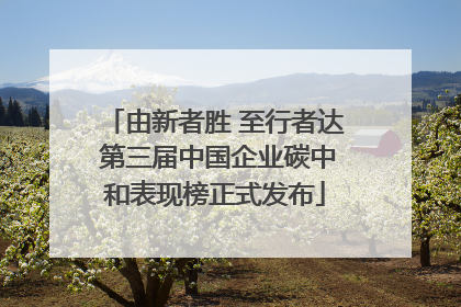 由新者胜 至行者达 第三届中国企业碳中和表现榜正式发布