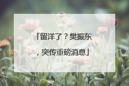 留洋了？樊振东，突传重磅消息