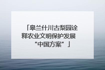 皋兰什川古梨园诠释农业文明保护发展“中国方案”