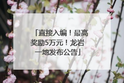 直接入编！最高奖励5万元！龙岩一地发布公告