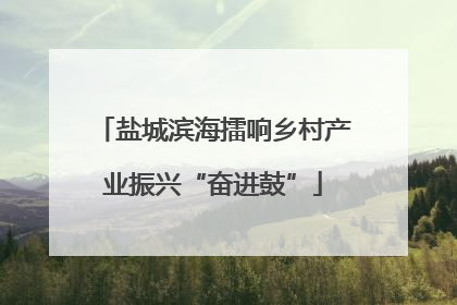 盐城滨海擂响乡村产业振兴“奋进鼓”