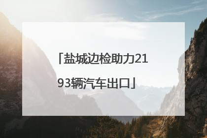盐城边检助力2193辆汽车出口