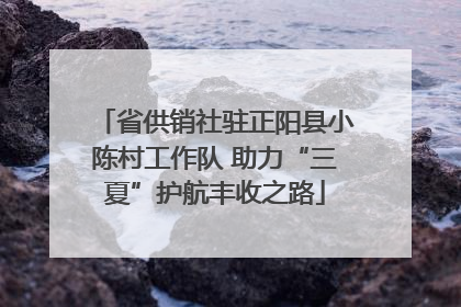 省供销社驻正阳县小陈村工作队 助力“三夏”护航丰收之路