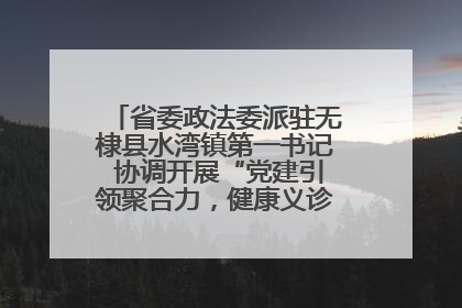 省委政法委派驻无棣县水湾镇第一书记 协调开展“党建引领聚合力，健康义诊惠乡亲”义诊活动