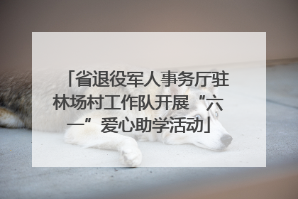 省退役军人事务厅驻林场村工作队开展“六一”爱心助学活动