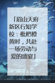 眉山天府新区行知学校：枇杷橙黄时，共赴一场劳动与爱的盛宴