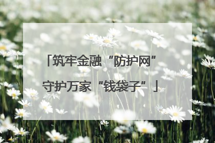 筑牢金融“防护网” 守护万家“钱袋子”