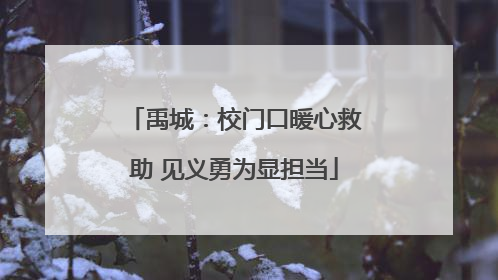 禹城：校门口暖心救助 见义勇为显担当