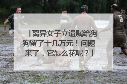 离异女子立遗嘱给狗狗留了十几万元！问题来了，它怎么花呢？