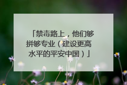 禁毒路上，他们够拼够专业（建设更高水平的平安中国）