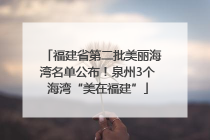 福建省第二批美丽海湾名单公布！泉州3个海湾“美在福建”