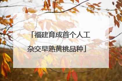福建育成首个人工杂交早熟黄桃品种