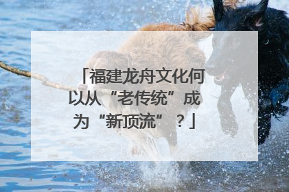 福建龙舟文化何以从“老传统”成为“新顶流”？