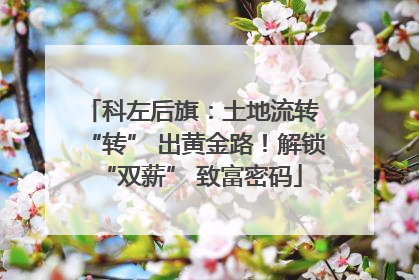 科左后旗：土地流转 “转” 出黄金路！解锁 “双薪” 致富密码