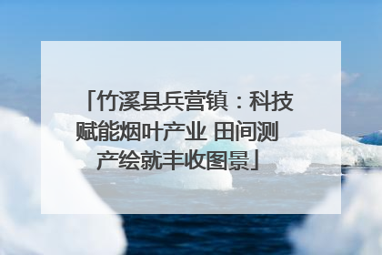 竹溪县兵营镇：科技赋能烟叶产业 田间测产绘就丰收图景