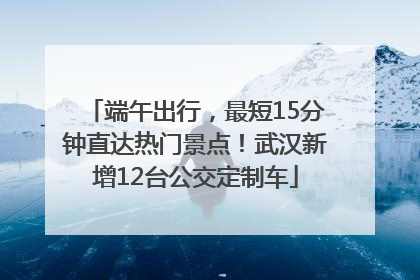 端午出行，最短15分钟直达热门景点！武汉新增12台公交定制车