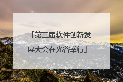 第三届软件创新发展大会在光谷举行