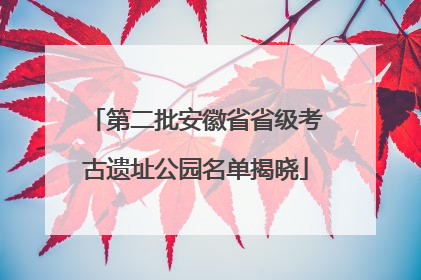 第二批安徽省省级考古遗址公园名单揭晓