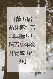 第五届“萌芽杯”青岛国际乒乓球青少年公开赛成功举办