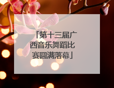 第十三届广西音乐舞蹈比赛圆满落幕