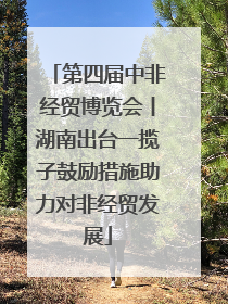 第四届中非经贸博览会丨湖南出台一揽子鼓励措施助力对非经贸发展