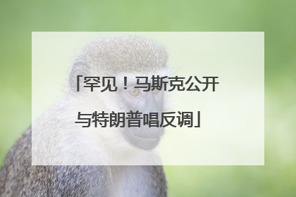 罕见！马斯克公开与特朗普唱反调