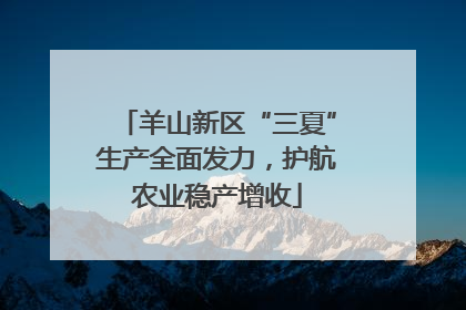 羊山新区“三夏”生产全面发力，护航农业稳产增收