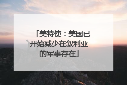 美特使：美国已开始减少在叙利亚的军事存在