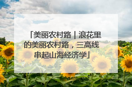 美丽农村路｜浪花里的美丽农村路，三高线串起山海经济学