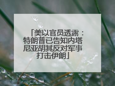 美以官员透露：特朗普已告知内塔尼亚胡其反对军事打击伊朗