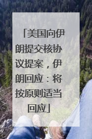 美国向伊朗提交核协议提案，伊朗回应：将按原则适当回应