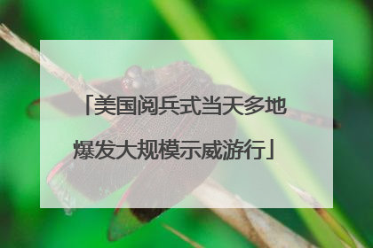美国阅兵式当天多地爆发大规模示威游行
