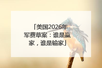 美国2026年军费草案：谁是赢家，谁是输家